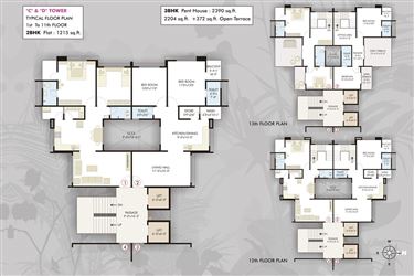 NEST_ORCHID
